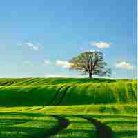 专﻿业‍术​语‌是‌什‌么﻿意‌思﻿